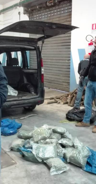 Immagine dell'articolo: Sassari: Marijuana sotto la legna