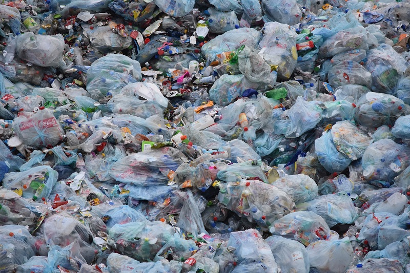 Rifiuti plastica_libera da Pixabay — Stintino vuole essere “Plastic free”