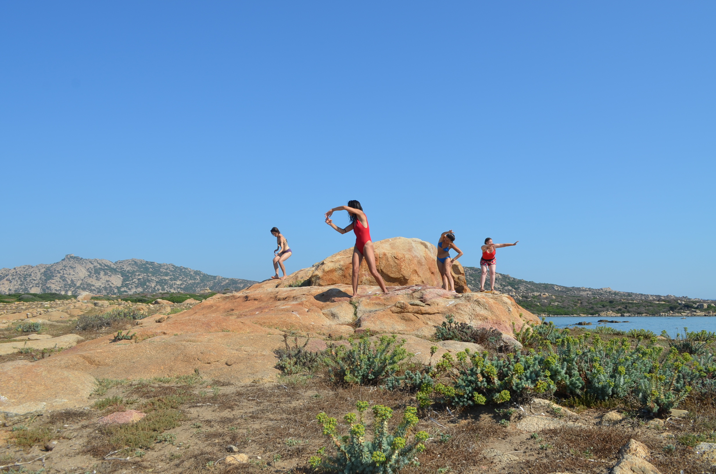 Asinara_Senza Confini Di Pelle_2 — Overlap, la migrazione come fenomeno biologico