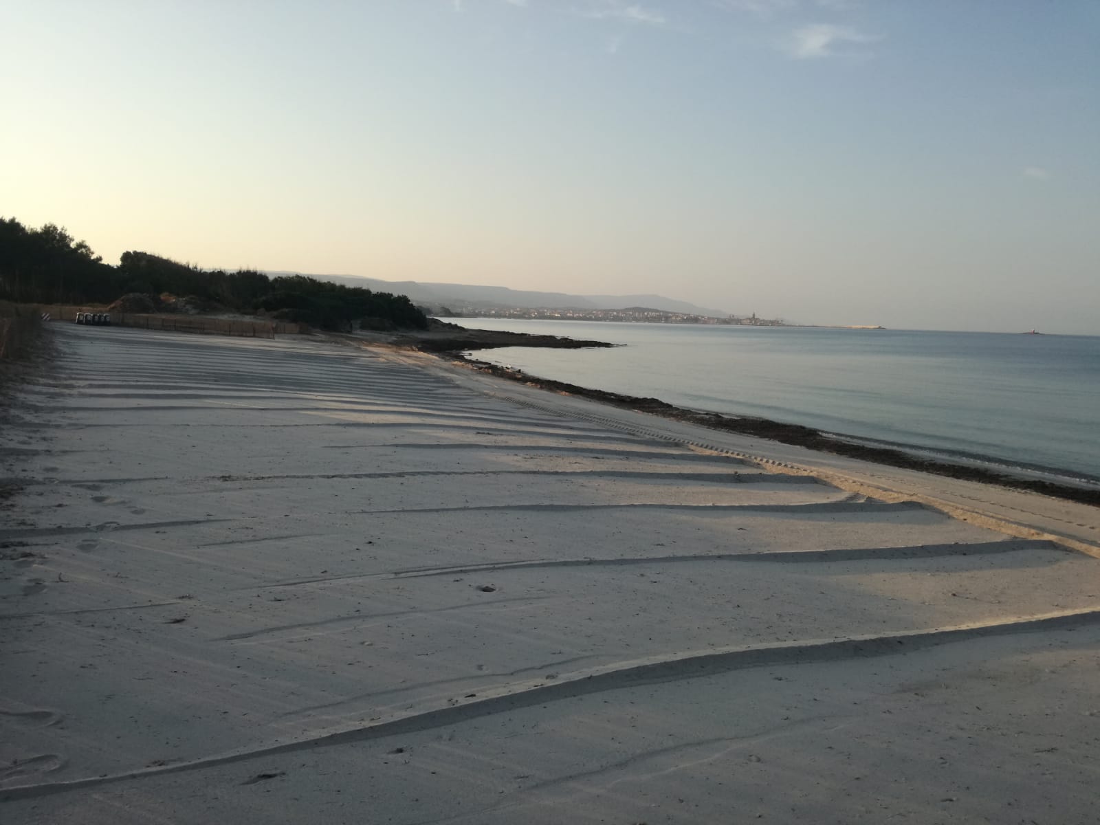 Immagine dell'articolo: Rimessa a nuovo la spiaggia per cani, in arrivo un’altra zona dedicata