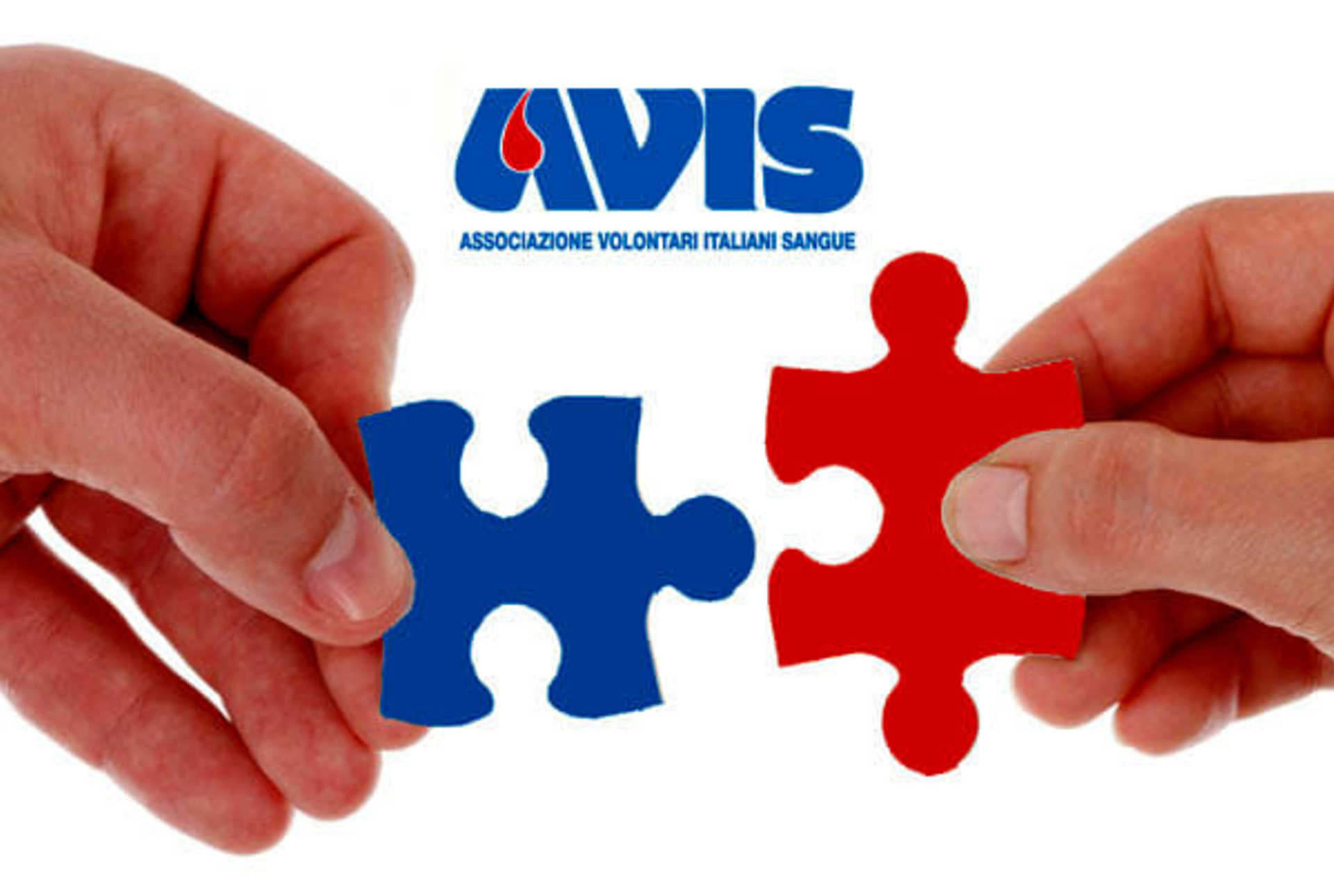 avis-2-1 — Compleanno dell’Avis Alghero – conferenza stampa per i cinquant’anni