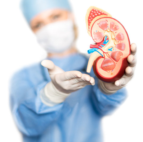 thinkstockphotos-484064172_thumb_720_480 — Le donazioni vanno avanti, nonostante il Coronavirus: tre organi prelevati al Policlinico Casula Sorrentino: «Una giornata di speranza in un periodo difficile per tutti».
