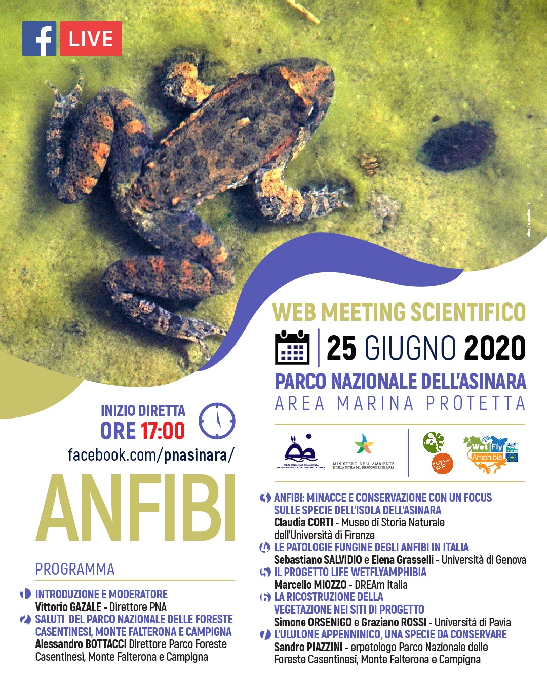 Immagine dell'articolo: Comunicato stampa PN Asinara evento del 25 giugno 2020