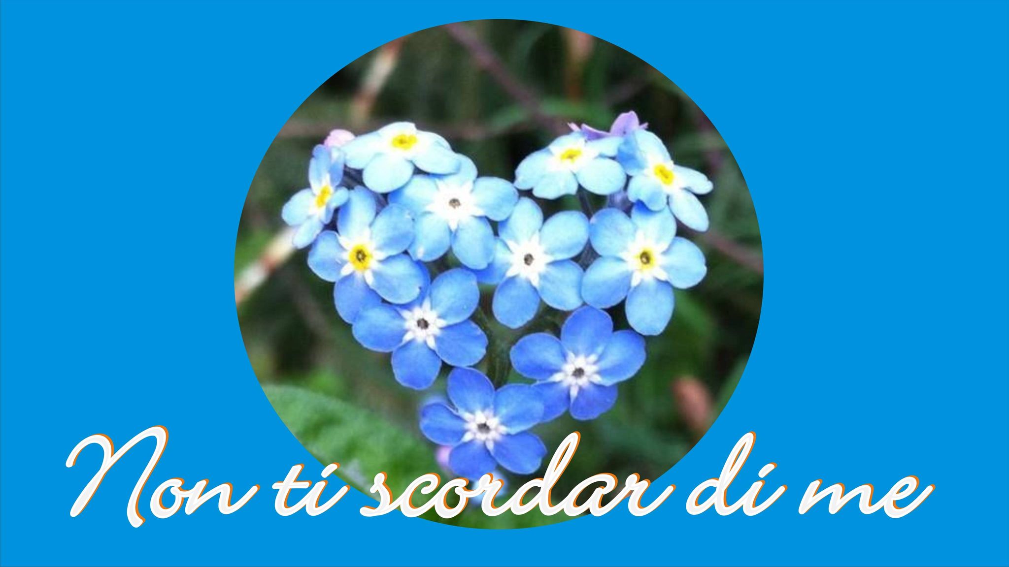 logo 1 — In parten∑a oggi alle 22 il nuovo programma ” non ti scordar di me”