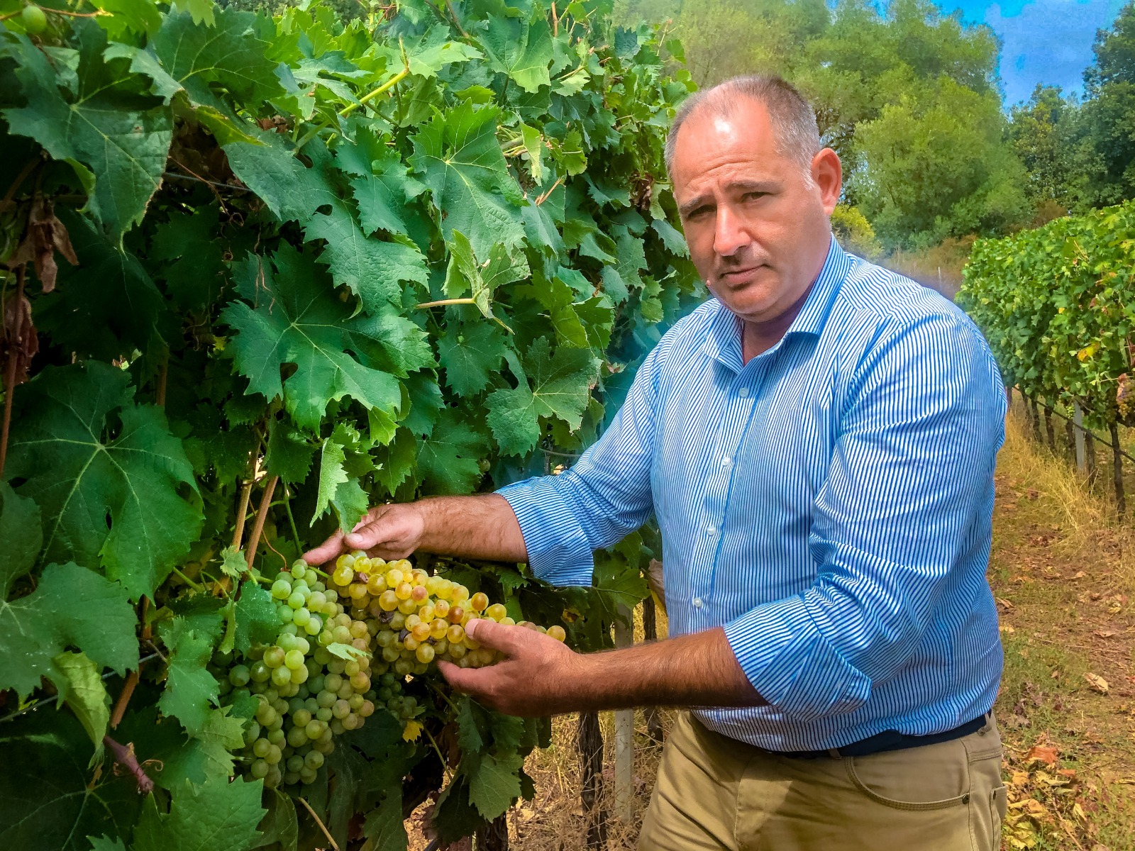 MASSIMO RUGGERO — Wine Spectator consacra il Vermentino di Gallura