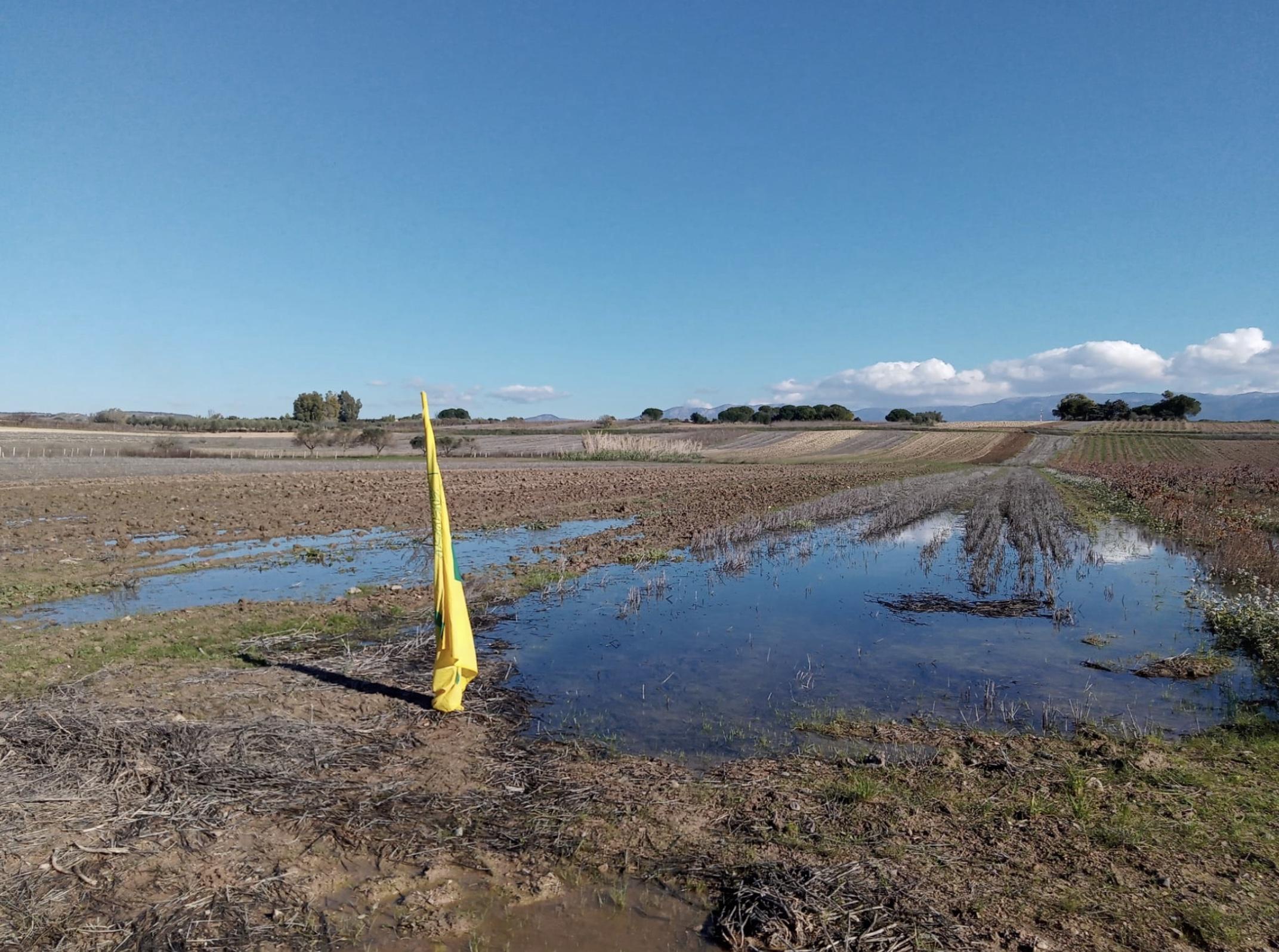 Schermata-2021-12-17-alle-20.29.11 — COLDIRETTI CAGLIARI. AGRICOLTURA AFFOGATA DA PIOGGIA E BUROCRAZIA“Se non arriveranno segnali concreti per il cambiamento non ci resta che la piazza”