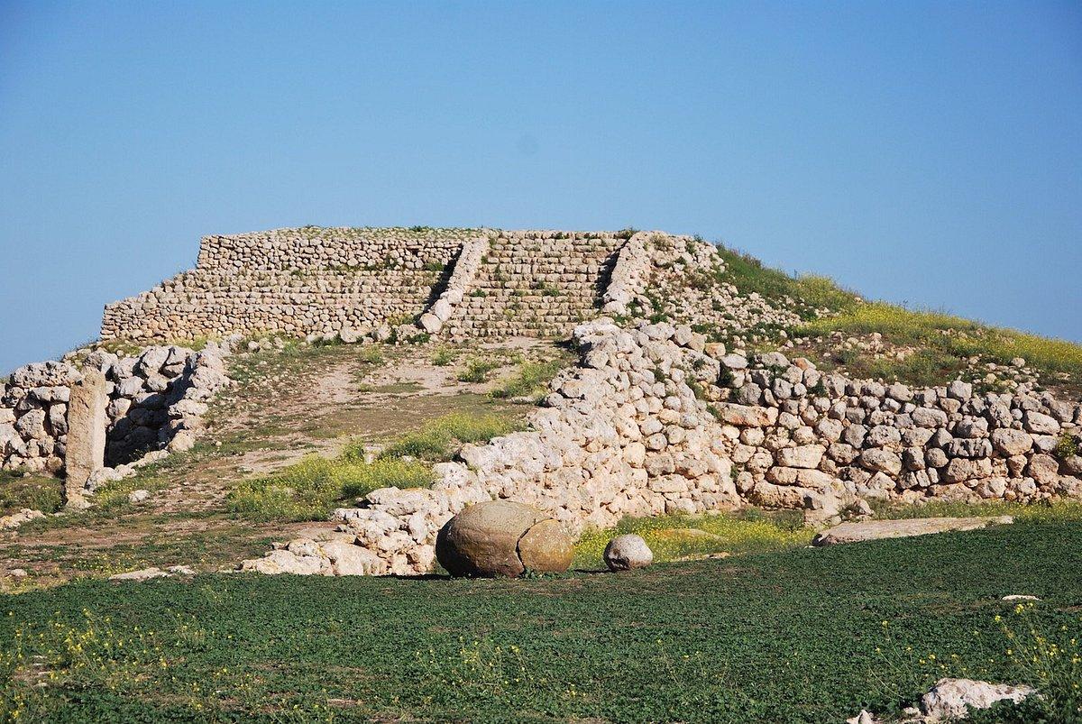 altar — Aperture straordinarie per Monte d’Accoddi