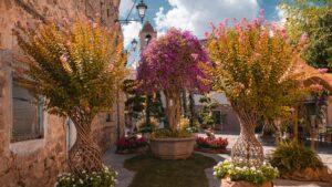 ESTATE IN FIORE 2026: IL CENTRO STORICO SI TRASFORMA IN UN GIARDINO DEDICATO ALL’OUTDOOR